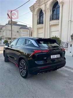 جیتۆر داشينگ